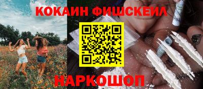 мет Камышлов