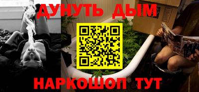 сатива Кандалакша