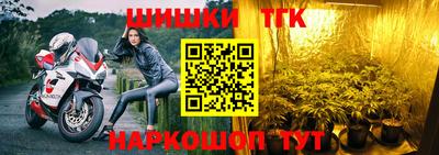 сатива Кандалакша