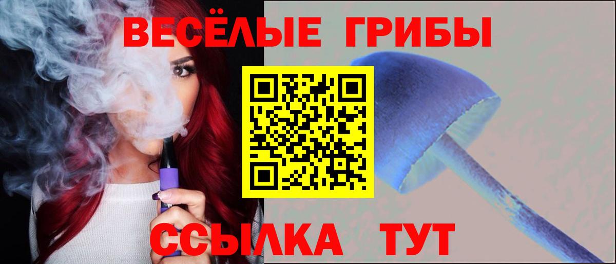 Псилоцибиновые грибы GOLDEN TEACHER  Псилоцибиновые грибы Cubensis  где купить   Вход с VPN  Котовск 